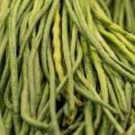 tips mengolah kacang panjang