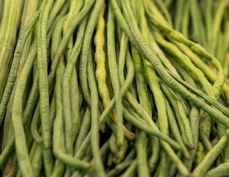 tips mengolah kacang panjang