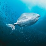 sampah plastik