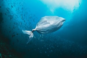 sampah plastik