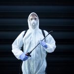 jasa basmi rayap Bandung