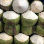 Resep es kelapa muda