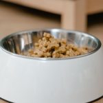 bisnis pet food