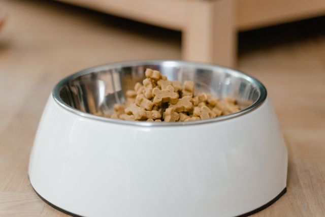 bisnis pet food