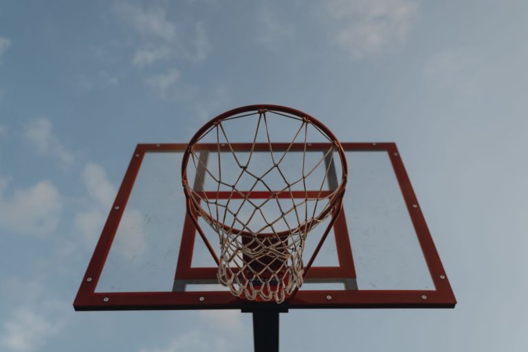 Ring basket