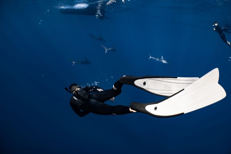 Fins